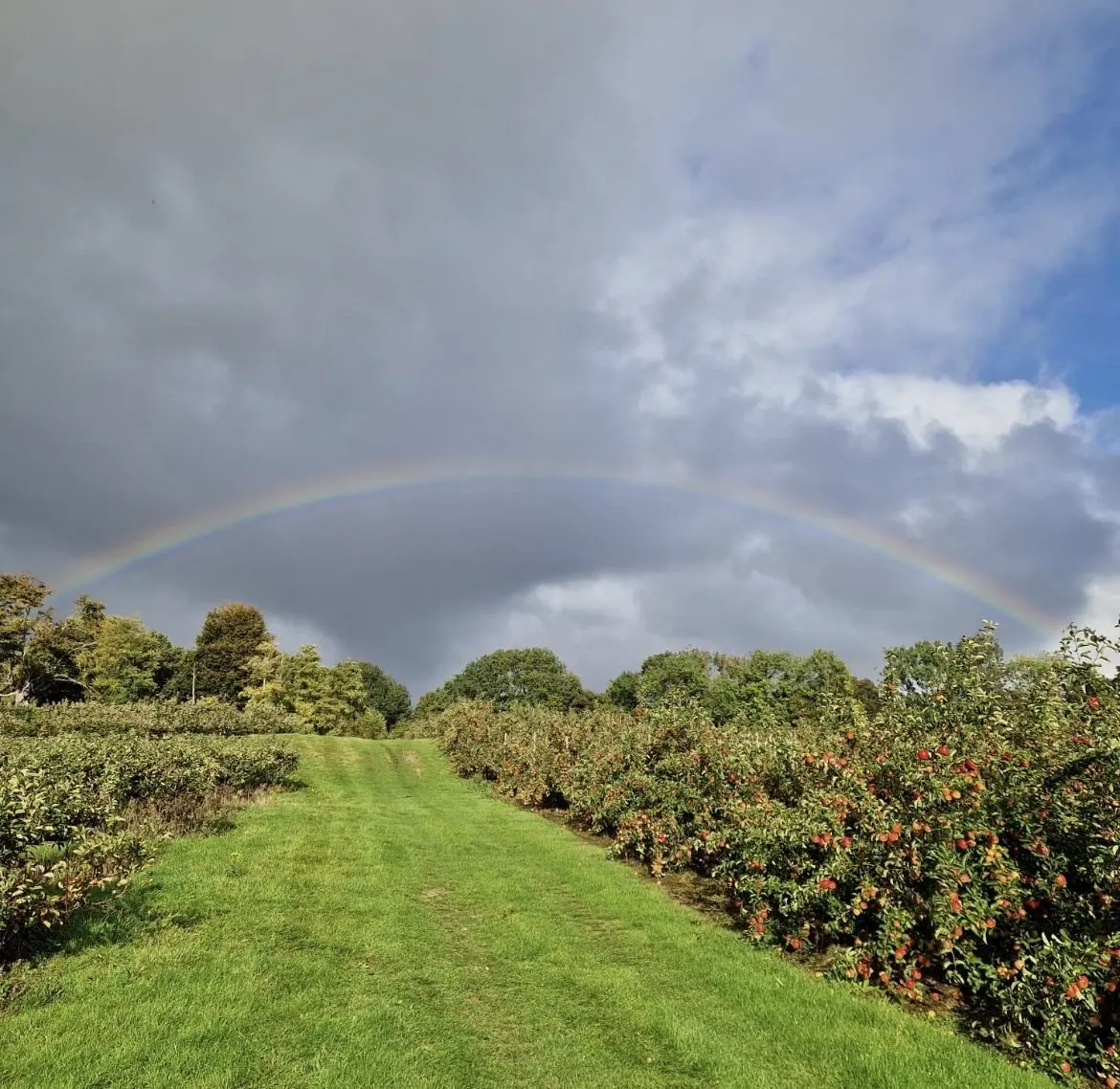 Perry Court Farm photo 1