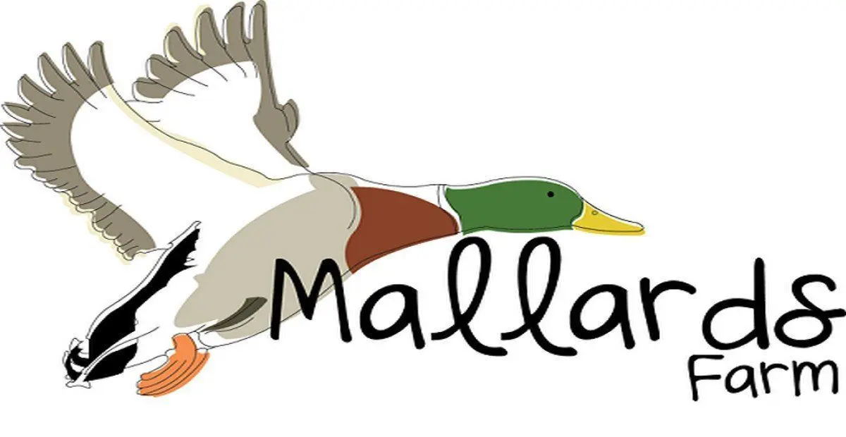 Mallards Farm main photo