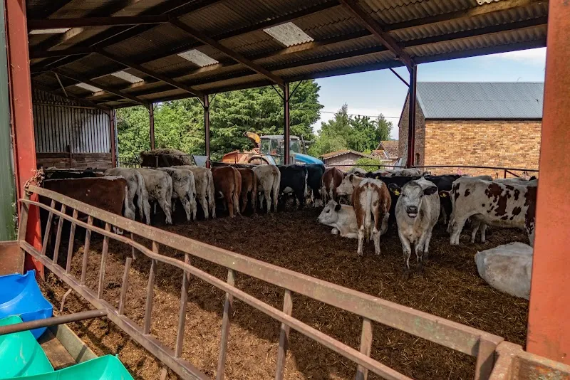 Candy's Farm Shop and Butchery
