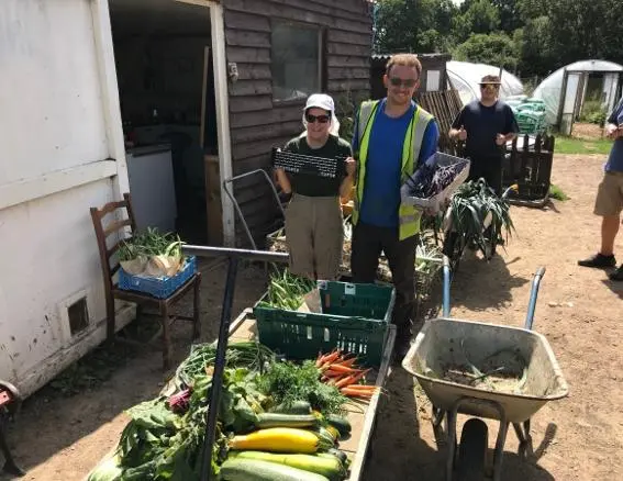 Holtwood Community Farm photo 4