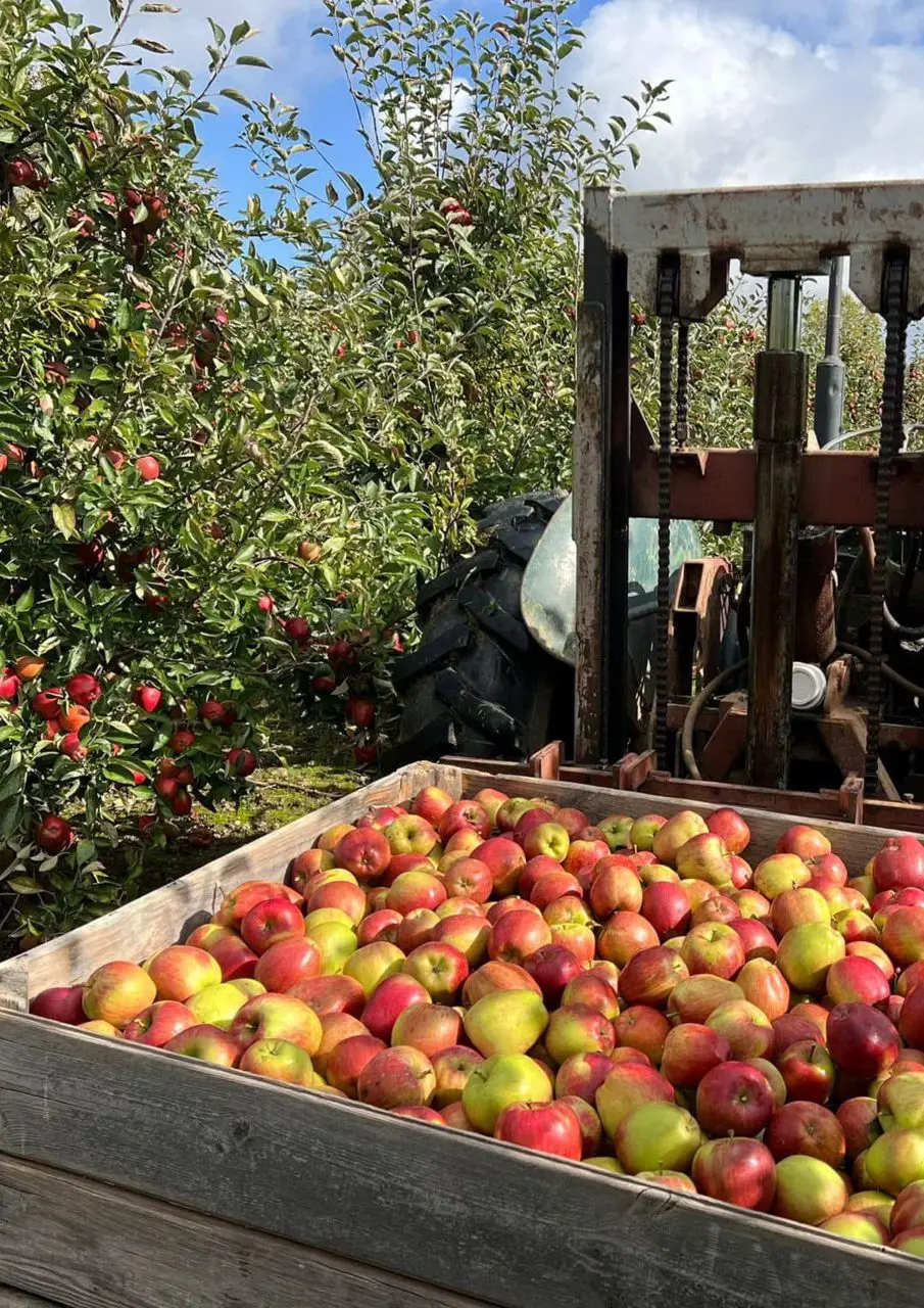 Farmer's Farm Shop photo 1