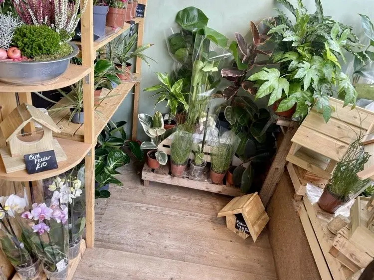 Lenham Farm Shop (OG Plants / Online Garden Plants) photo 1