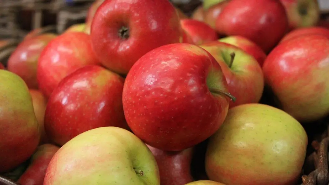 Broadditch Farm Shop photo 4