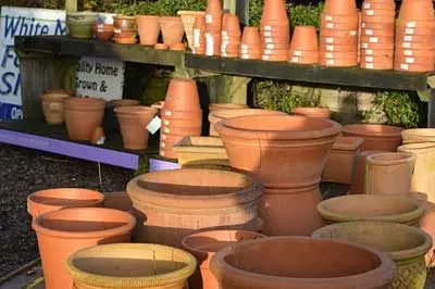 White Mill Farm Shop photo 3