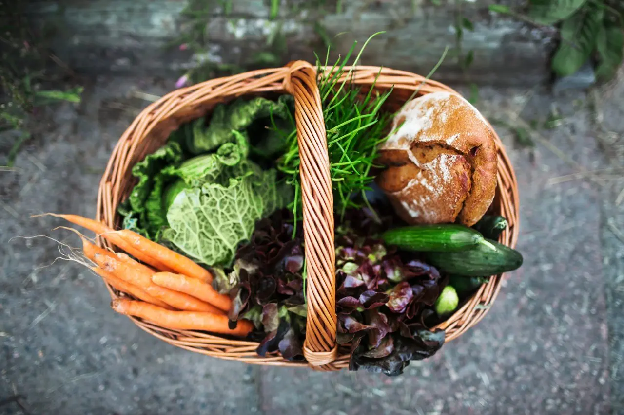 Walmer Court Farm Shop photo 1