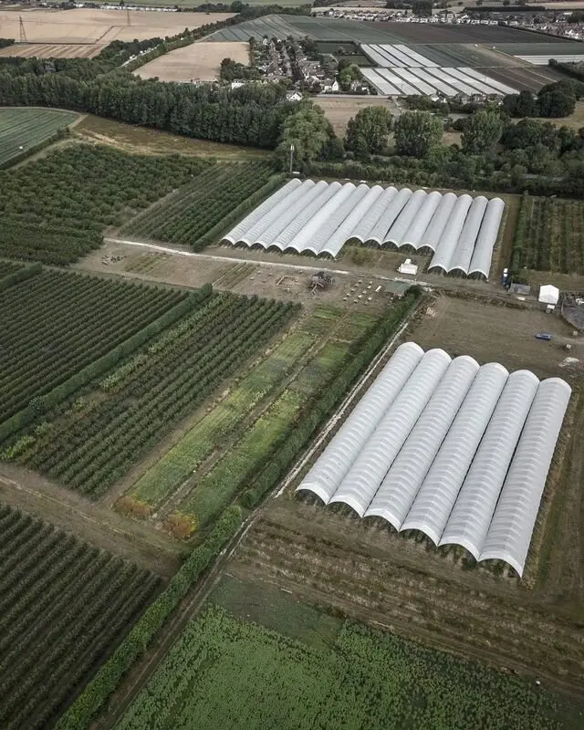 Felderland Farm PYO photo 3