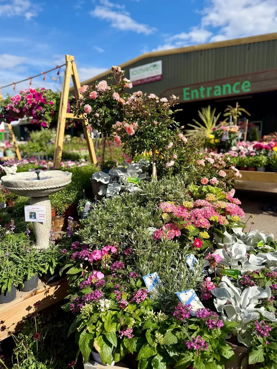 Southwood Garden Centre photo 1