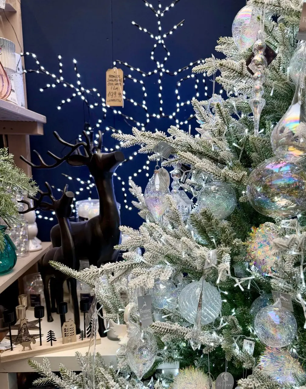 Southwood Garden Centre photo 2