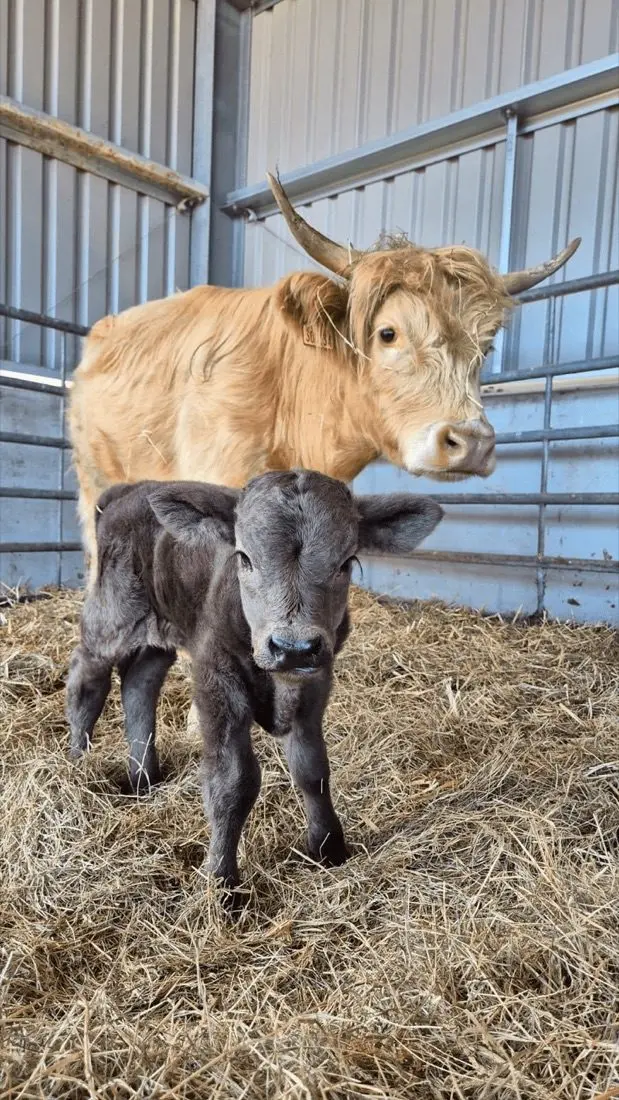 Street Croft Farm photo 1