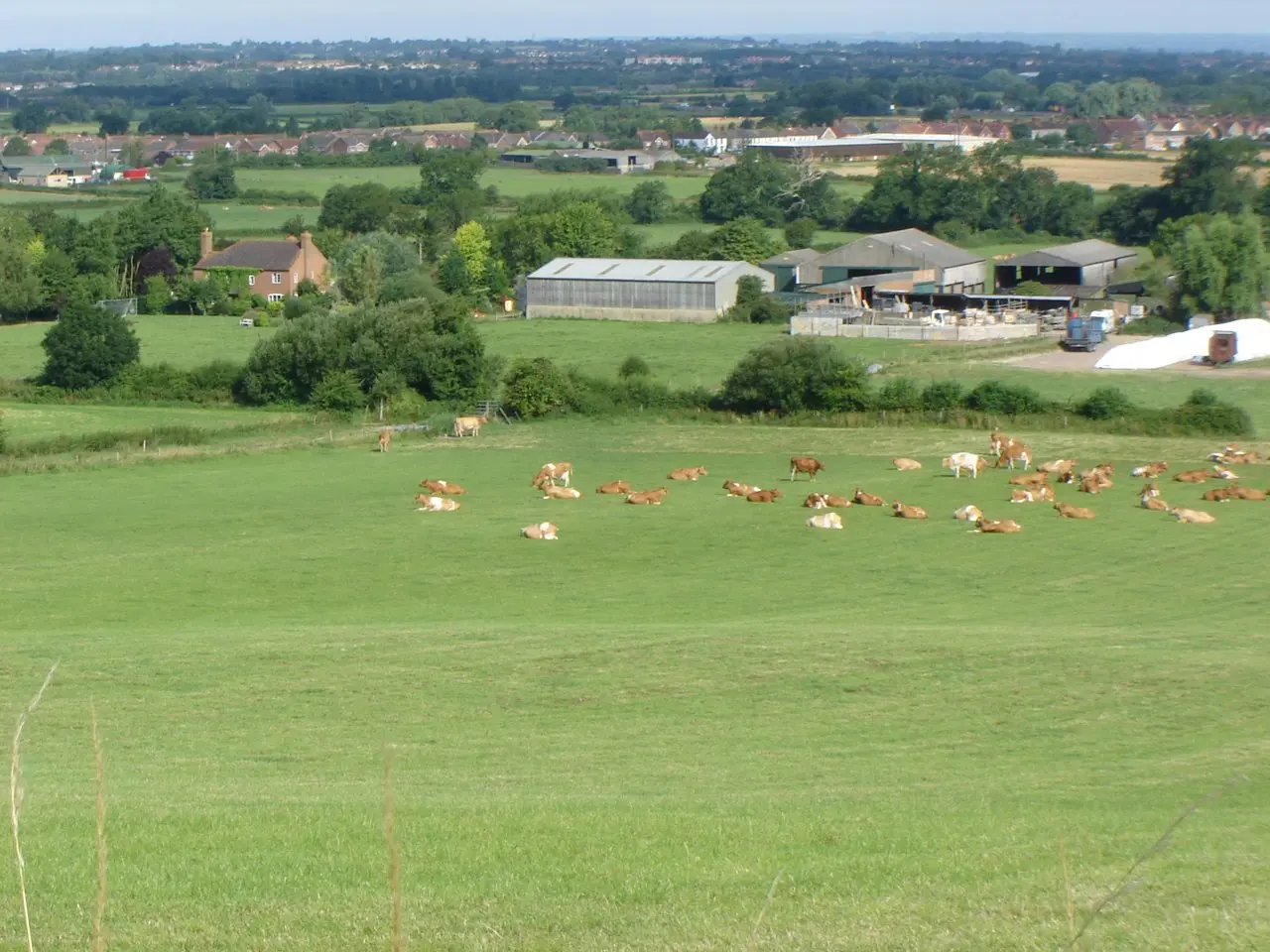 Berkeley Farm Dairy main photo