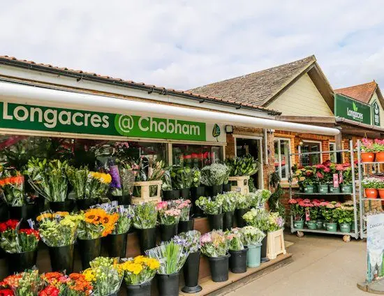 Longacres Garden Centre Chobham main photo