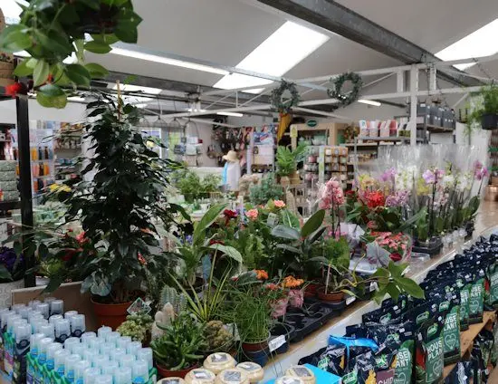 Longacres Garden Centre Chobham photo 1