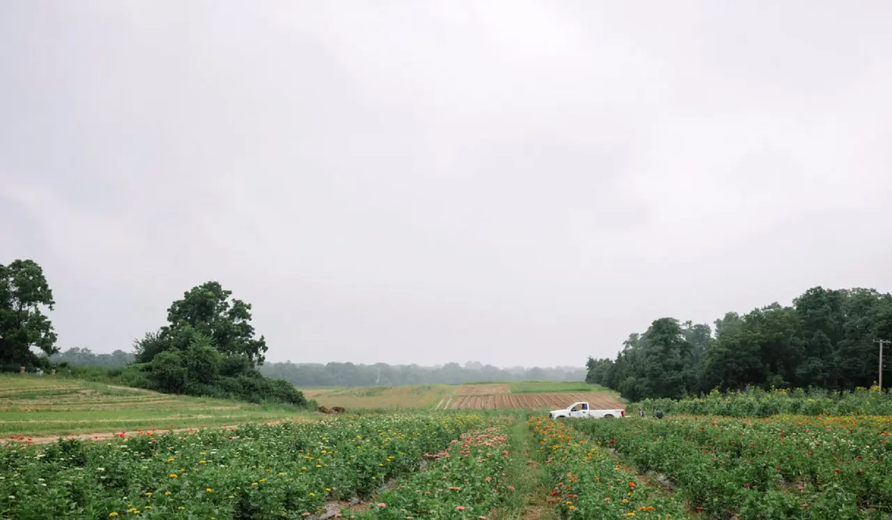 Young's Farm Shop main photo