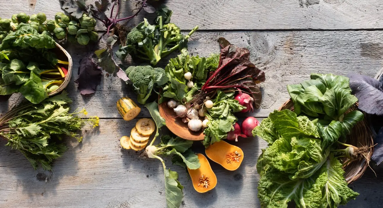 Young's Farm Shop photo 1