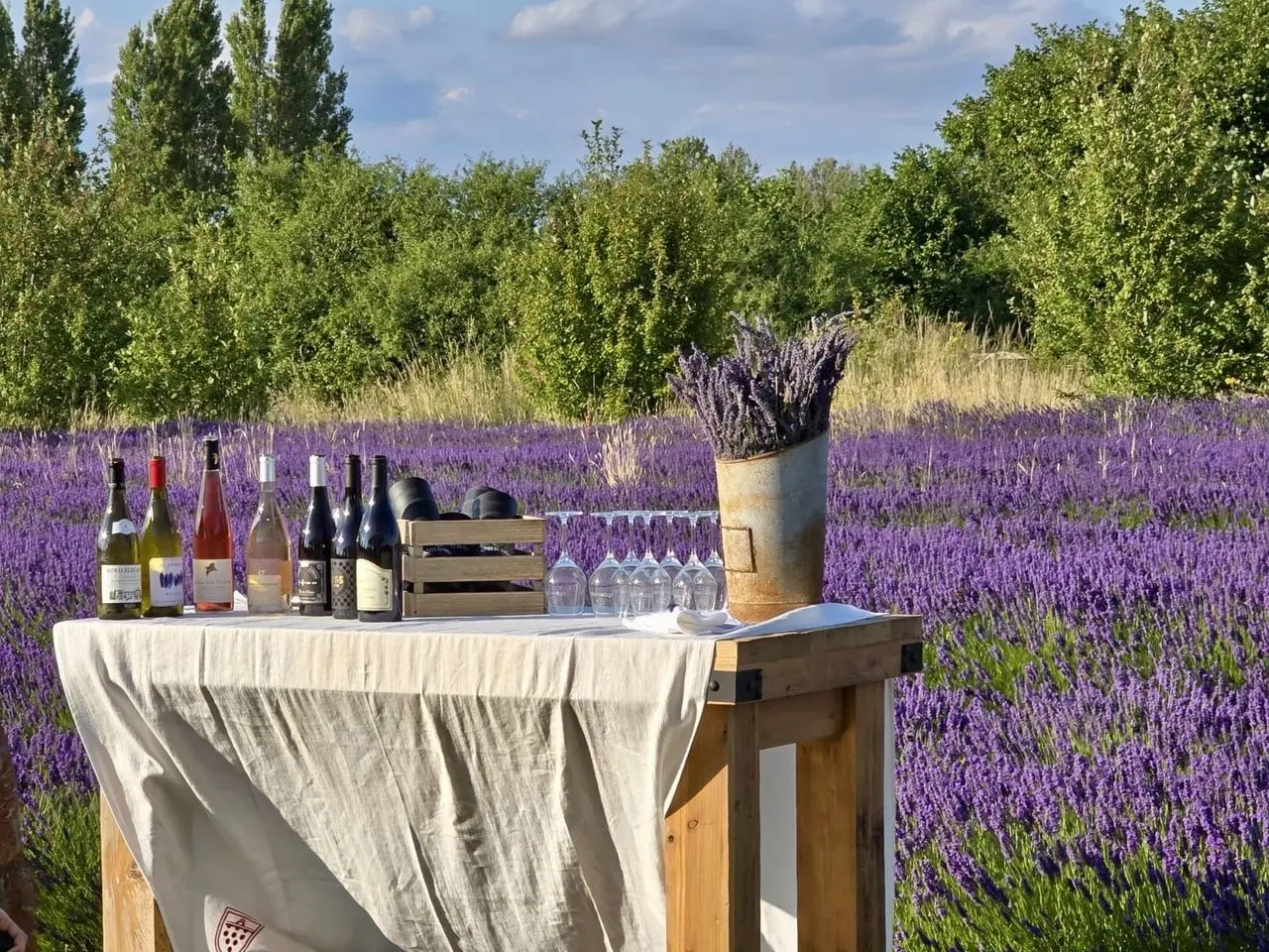 Mayfield Lavender – Glasshouse Café, Gift & Plant Shop and Secret Lavender Garden (Epsom) photo 3