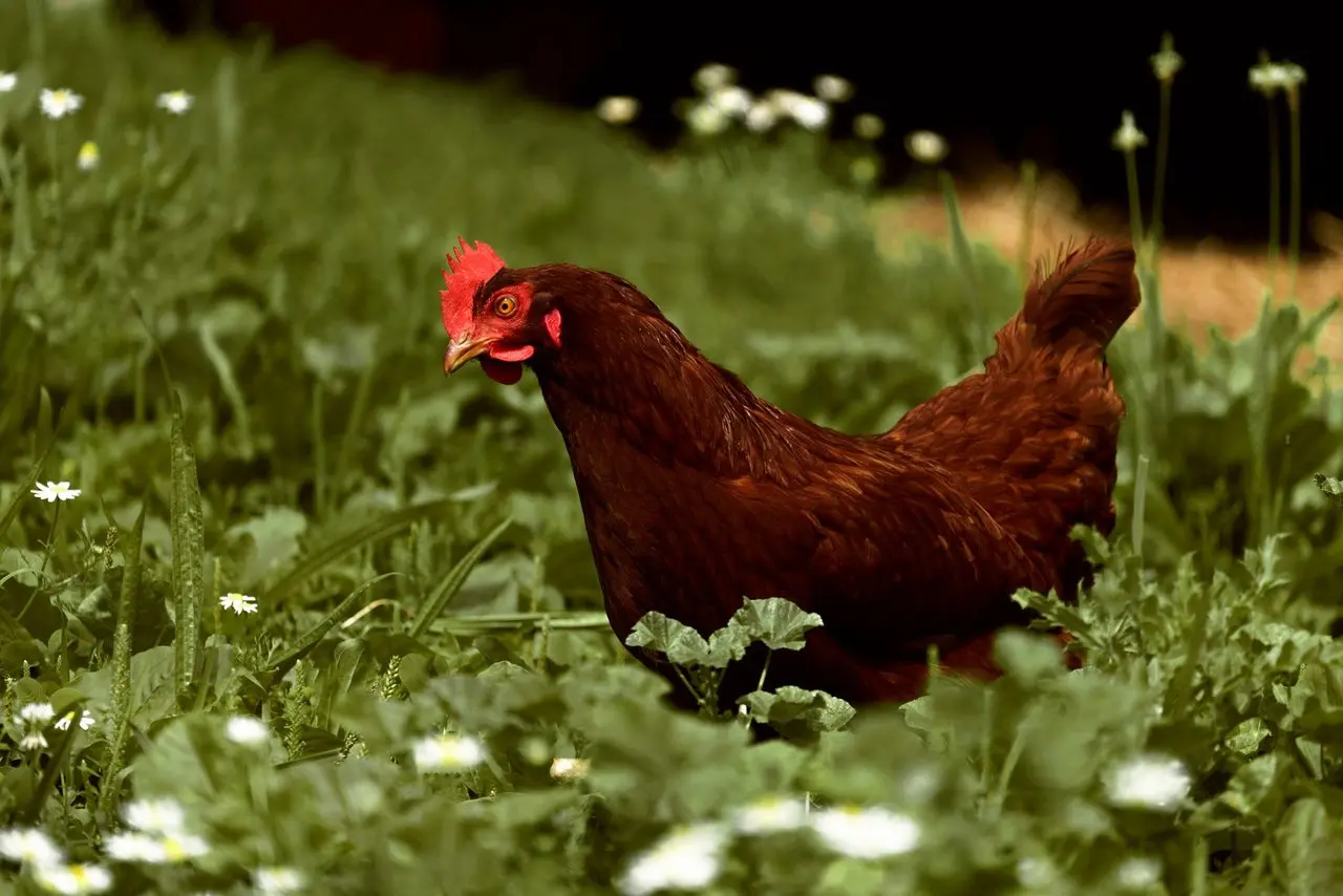 Byhurst Farm Store photo 2