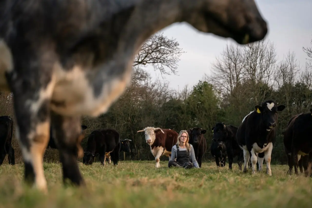 Meadowsweet Farming Co main photo
