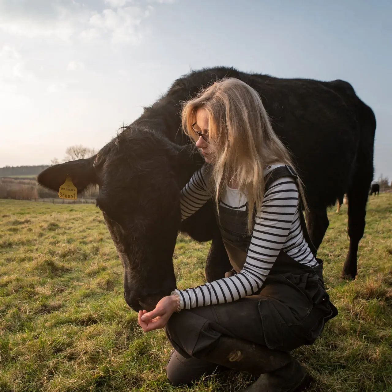Meadowsweet Farming Co photo 1