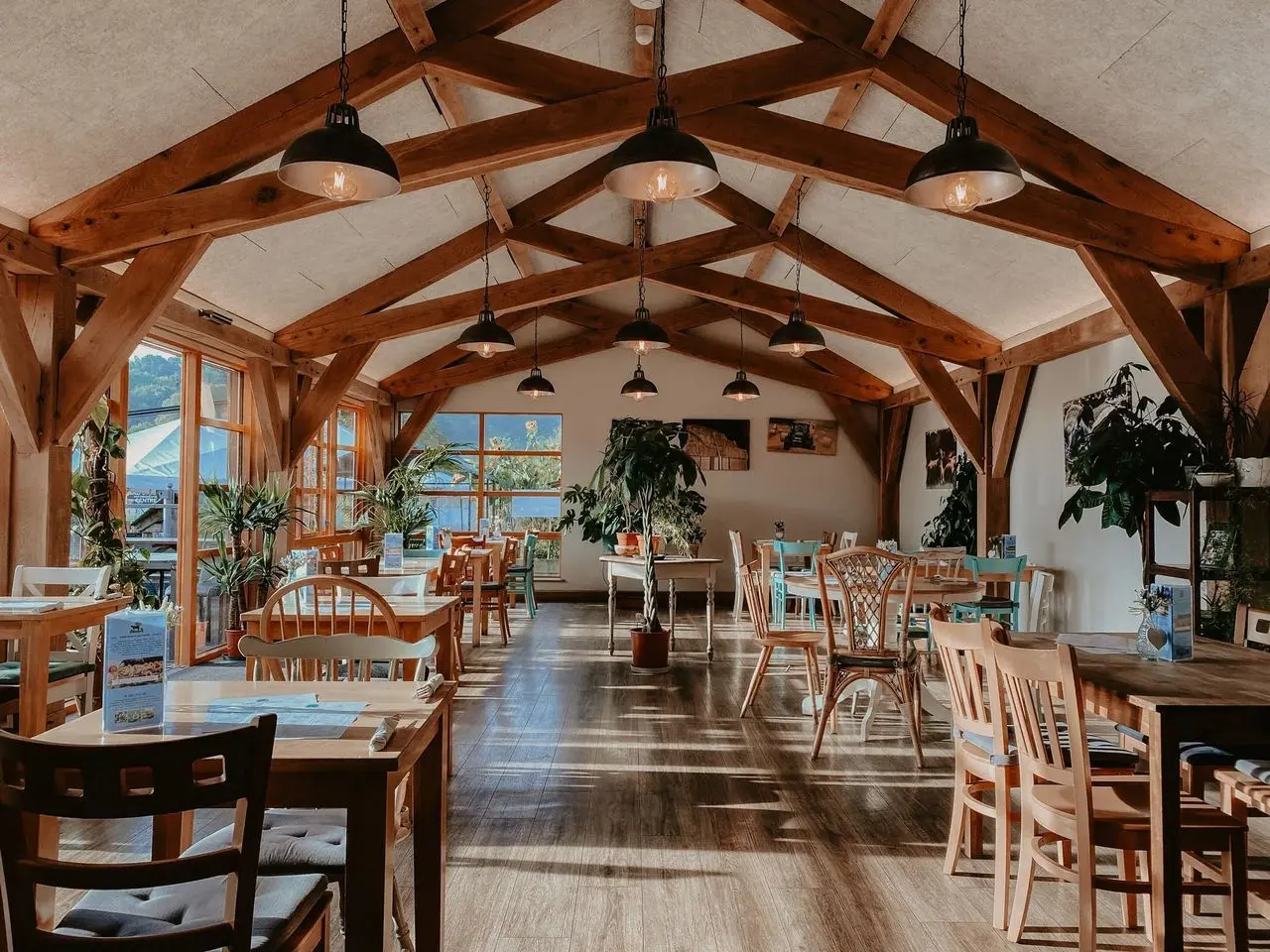 Newton Farm Foods (Newton Farm Shop & Cafe) photo 2