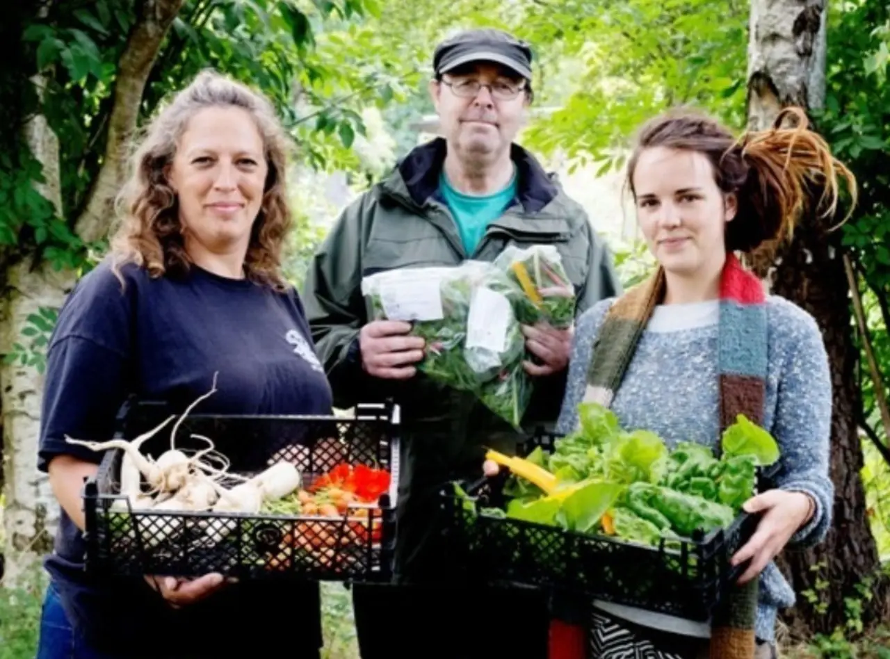 Windmill Hill City Farm photo 2