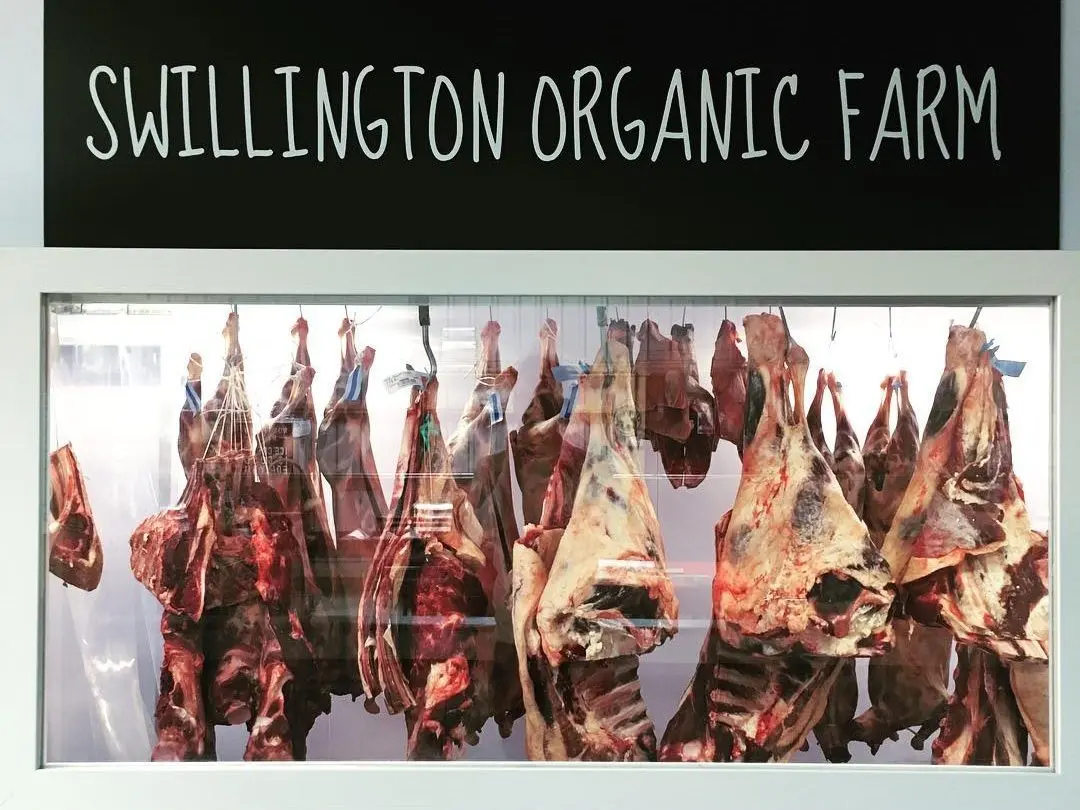 Swillington Organic Farm photo 3