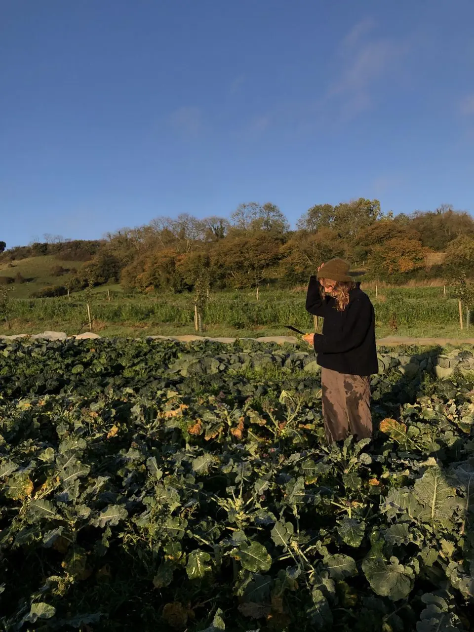 Five Acre Farm photo 2