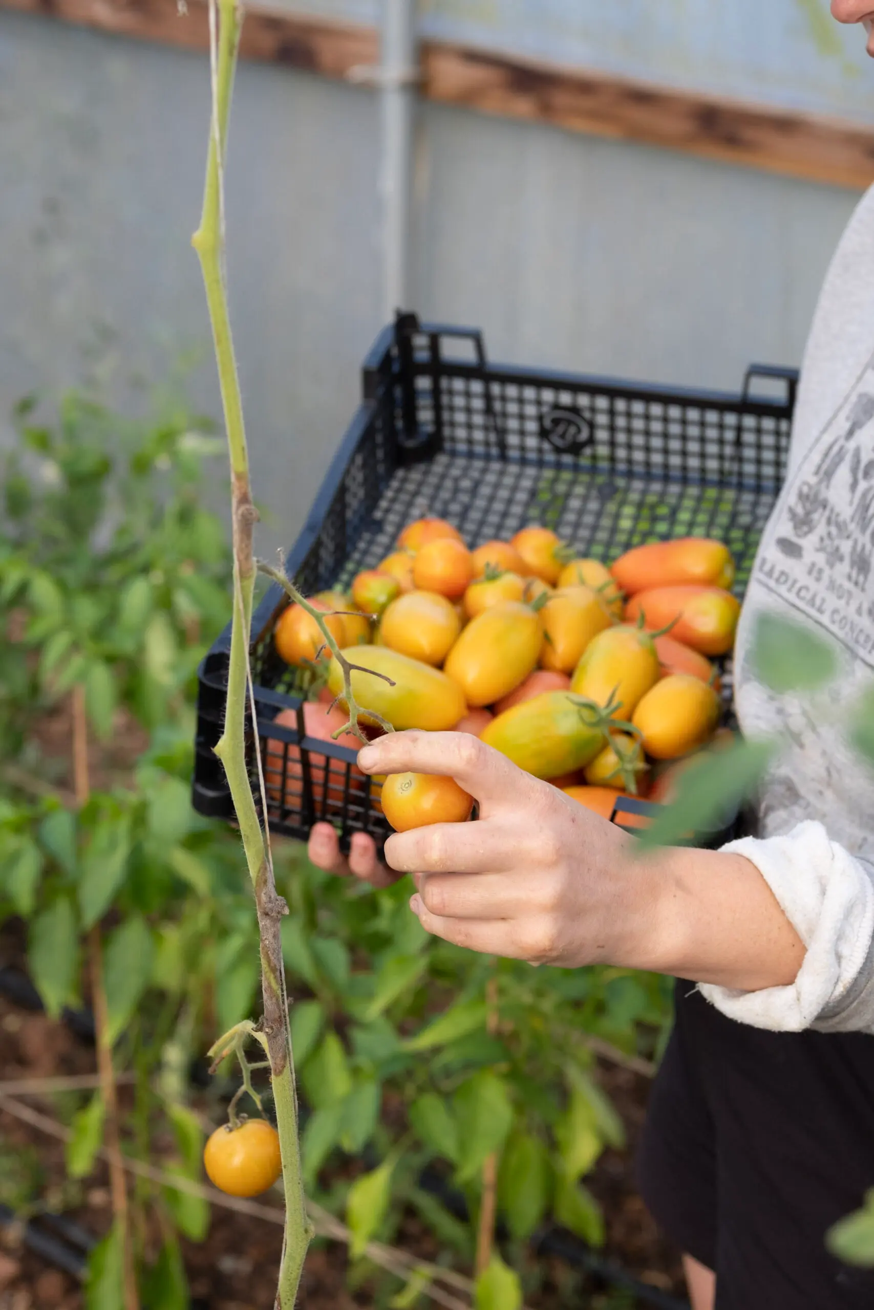 Five Acre Farm photo 3