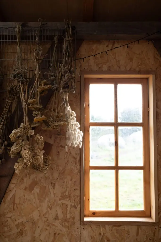 Five Acre Farm photo 4