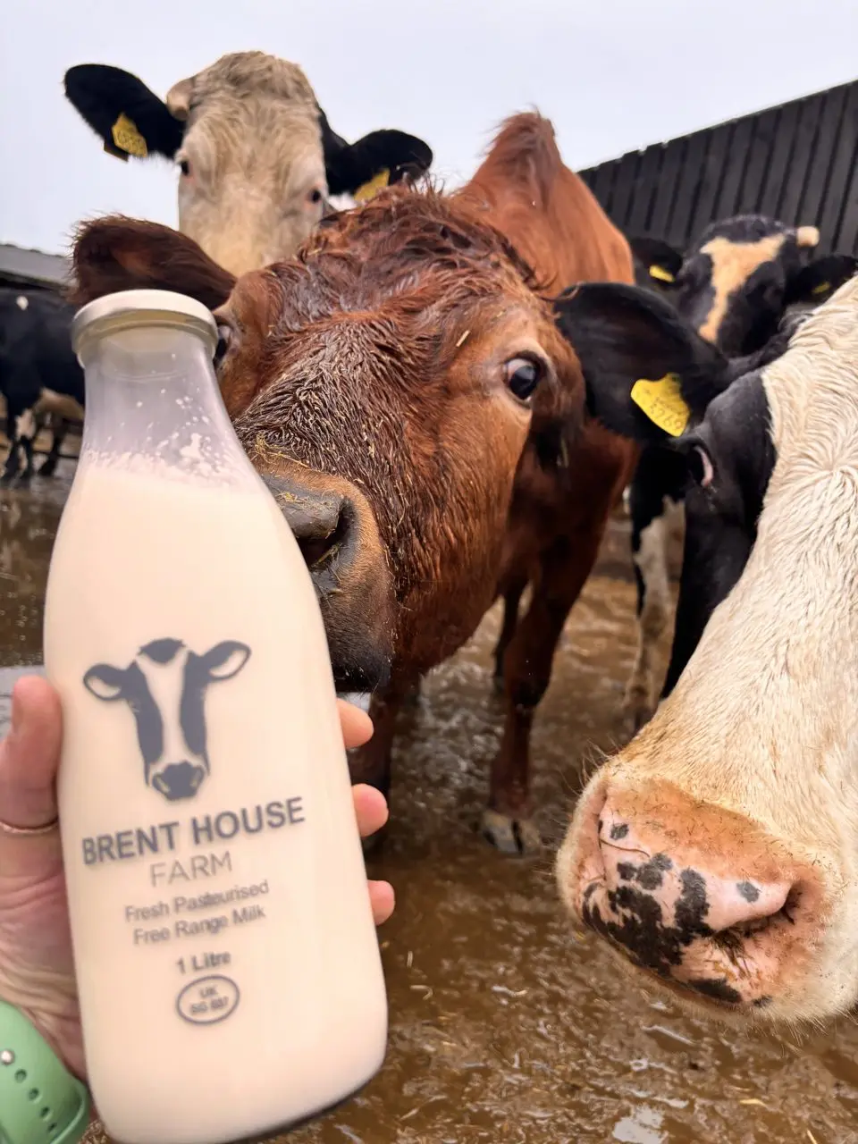 Brent House Farm Shop main photo