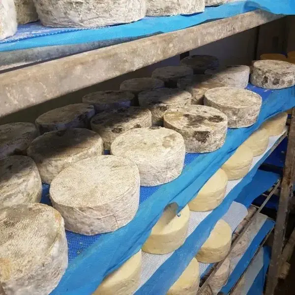 Somerset Cheese Company photo 1