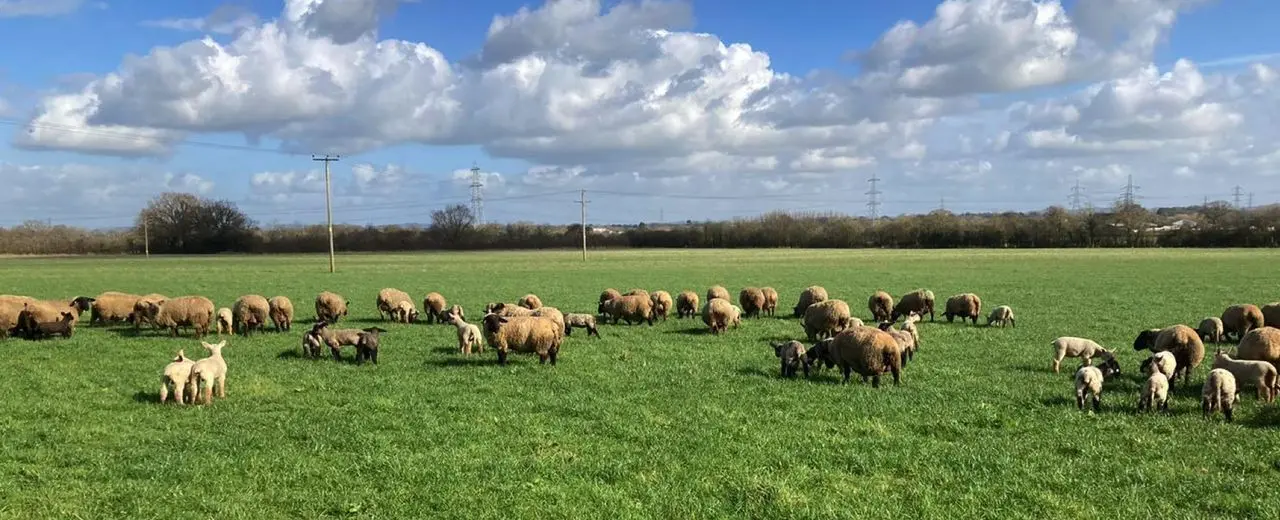 Perrinpit Farm