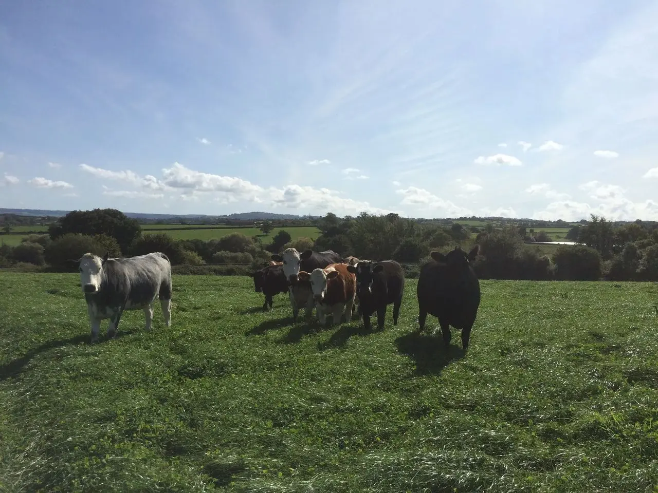 Goose Slade Farm Shop photo 1