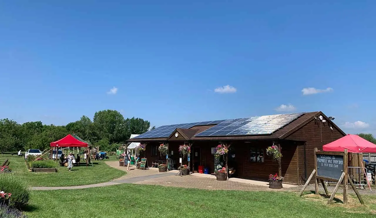 Primrose Vale Farm Shop & PYO photo 2