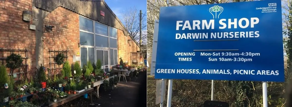 Darwin Nurseries main photo