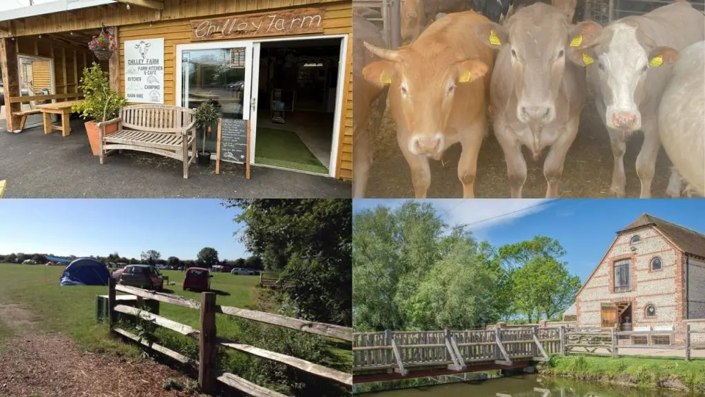 Chilley Farm Shop & Cafe main photo