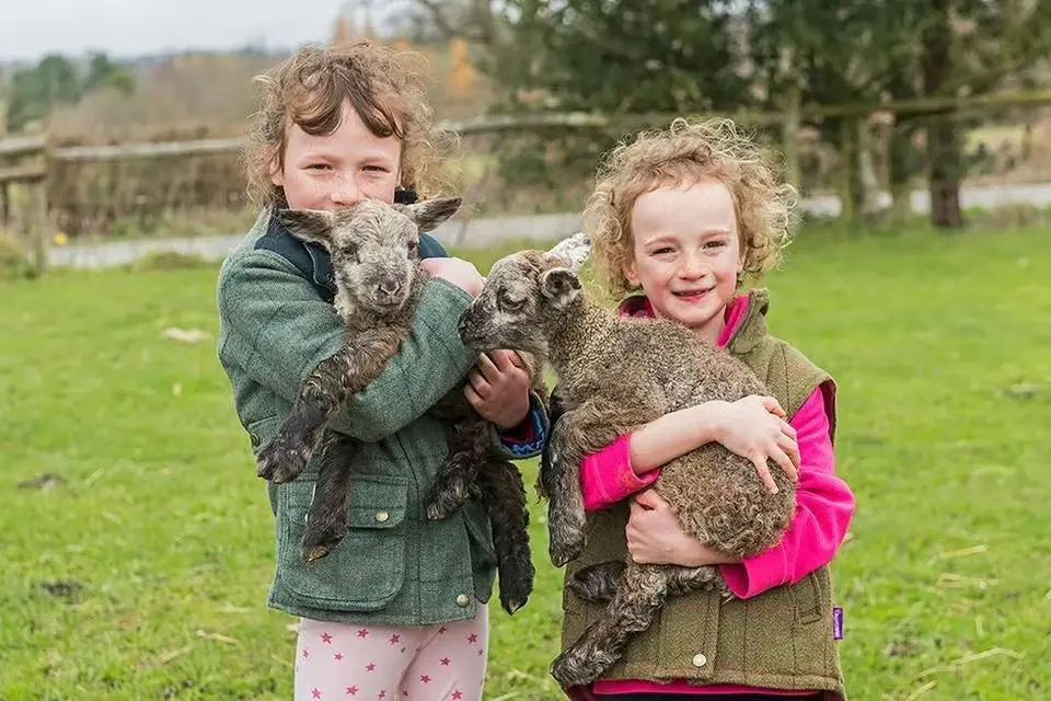 South Brockwells Farm photo 3
