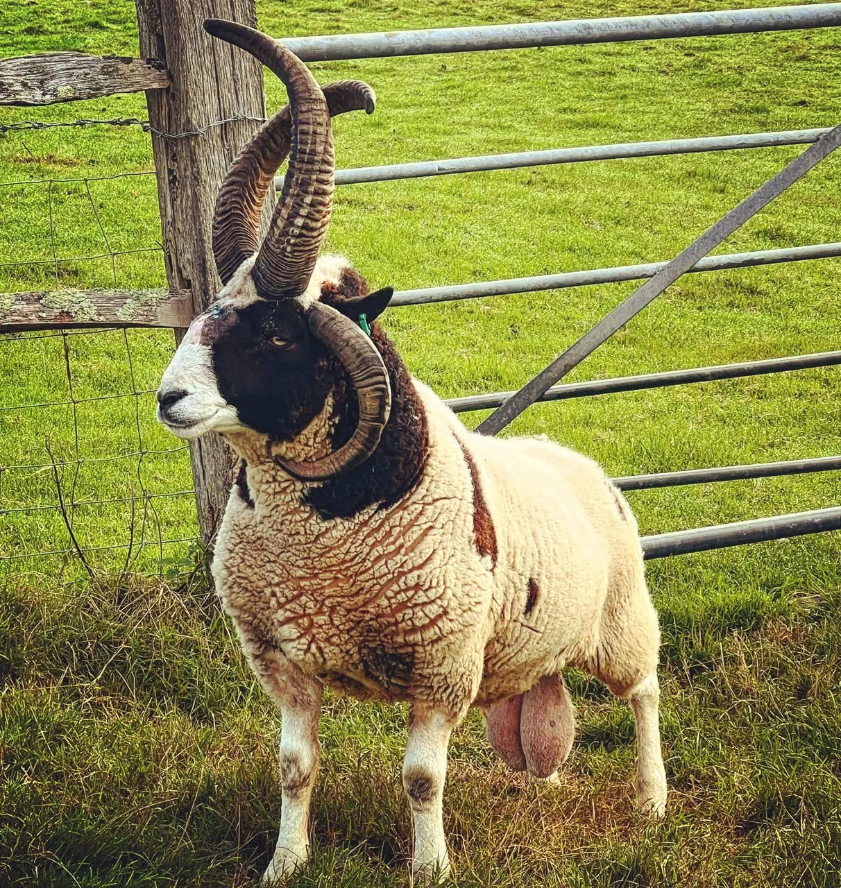 Hugletts Farm photo 1