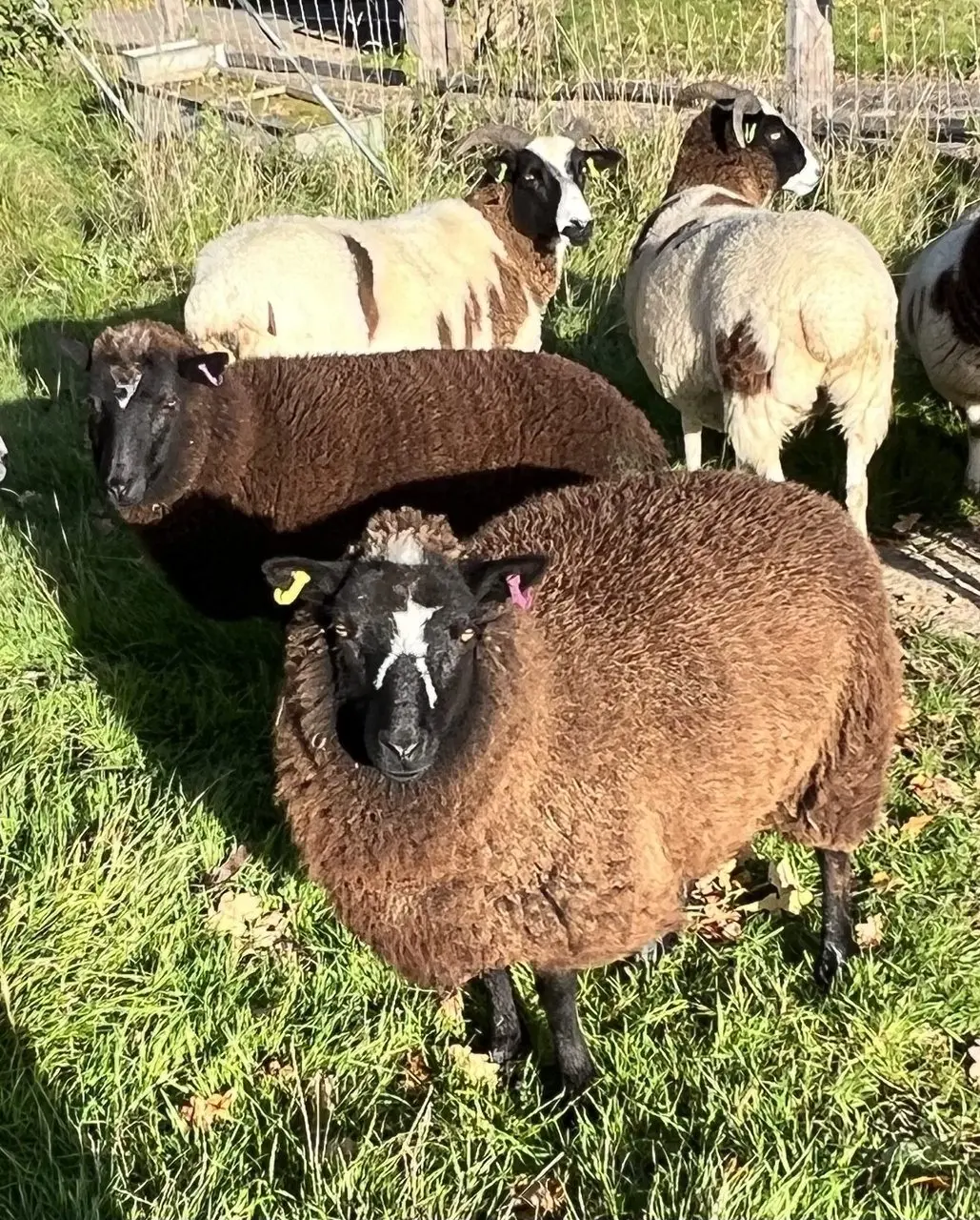 Hugletts Farm photo 2