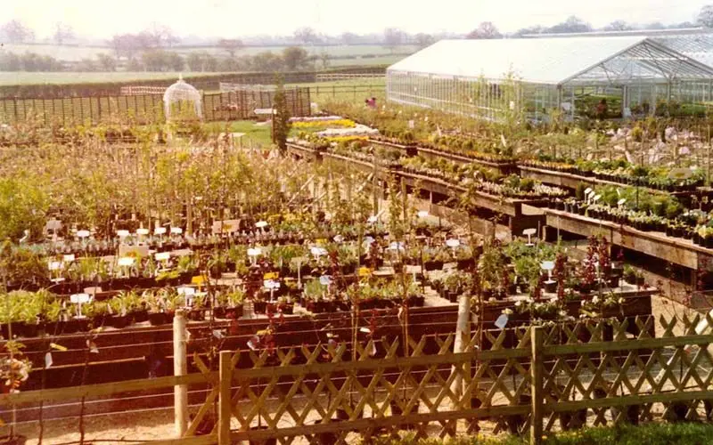 Lowden Farm Shop (at Lowden Garden Centre) photo 4