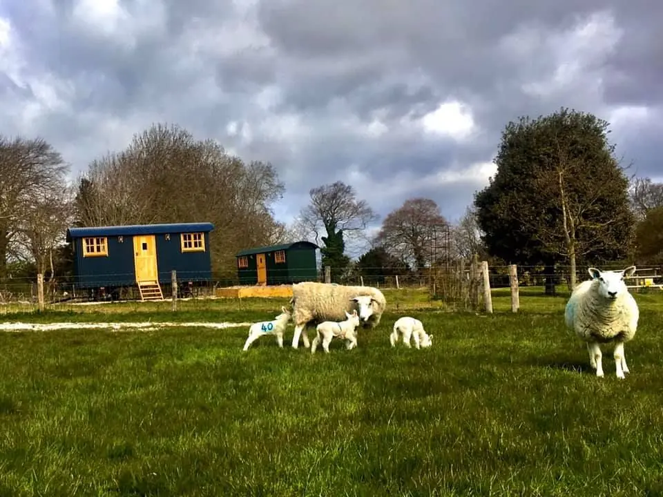 Offham Farm photo 1