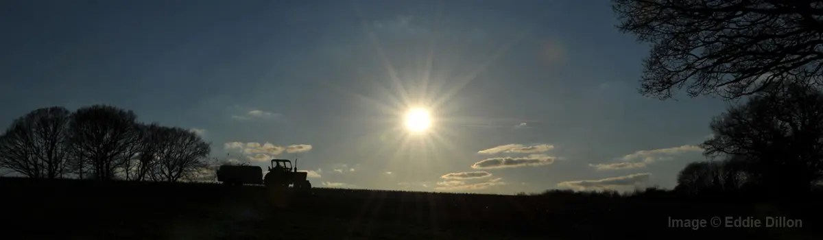 Wayside Farm photo 4