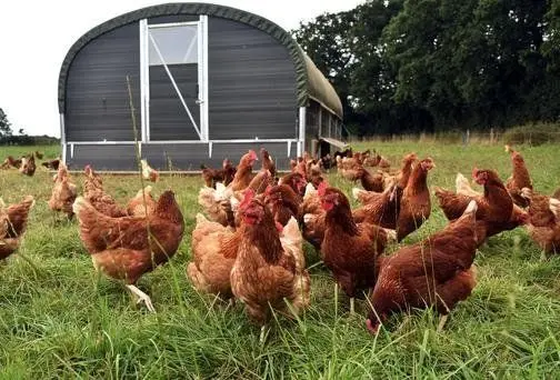 Highfield Farm