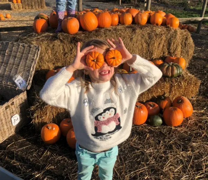 The Pumpkin Patch at Christmas Tree Farm photo 2