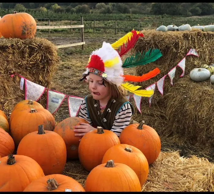 The Pumpkin Patch at Christmas Tree Farm photo 3