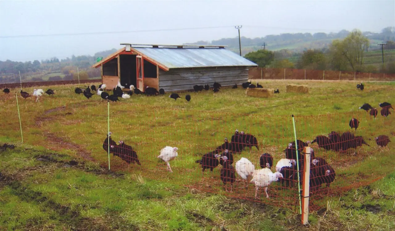 Stanacre Poultry Co. Ltd. at Colley Fold Turkey Farm main photo