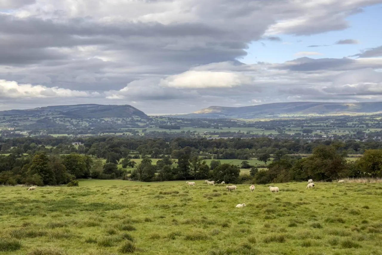 Pendle Pastures main photo