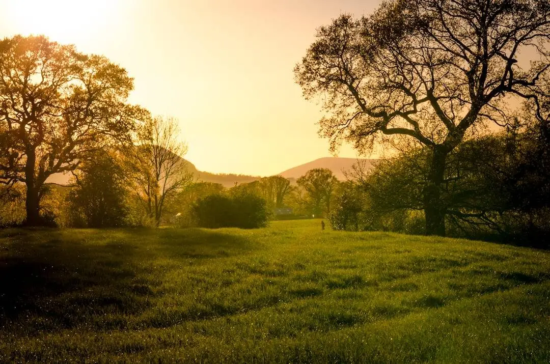 Pendle Pastures photo 3
