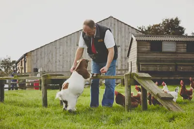 Lane End Farm Shop photo 4