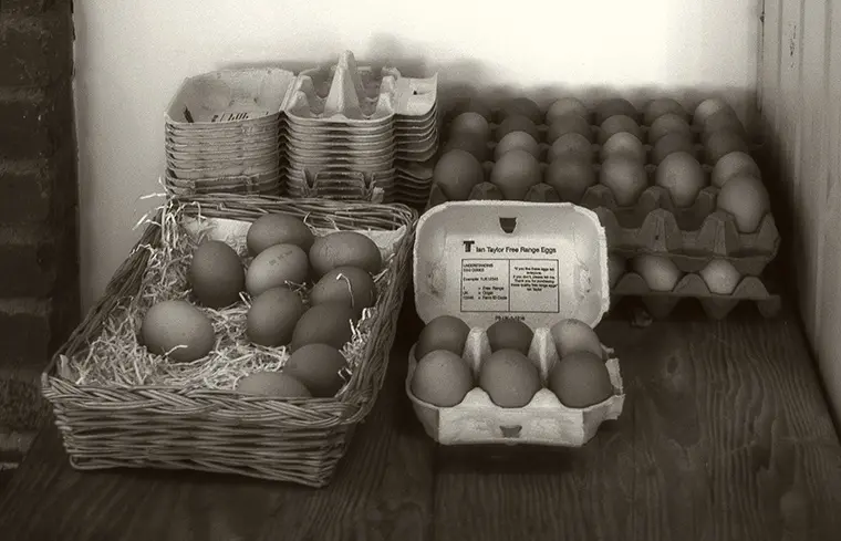 Tancred Farm Shop photo 4