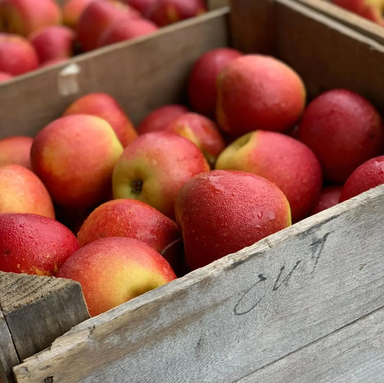 Hayles Fruit Farm main photo